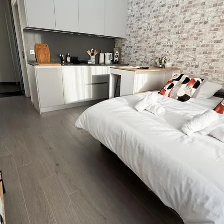 Apartment Ground Floor Studio, Terrace, Parking Near Paris